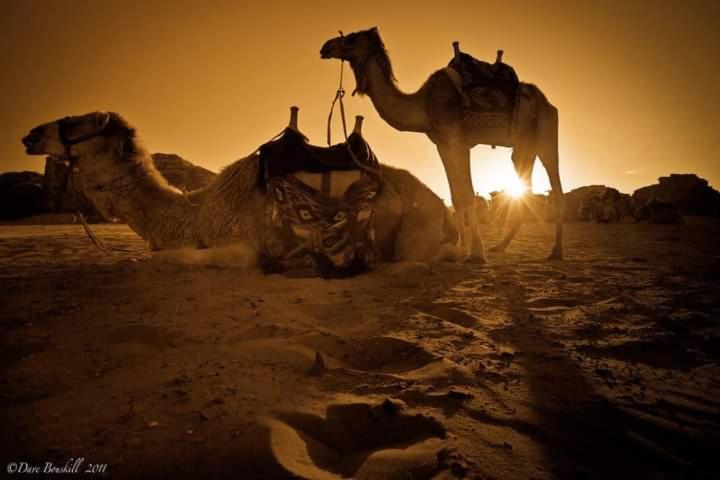 Wadi Rum Fun Time Tour'S Εξωτερικό φωτογραφία