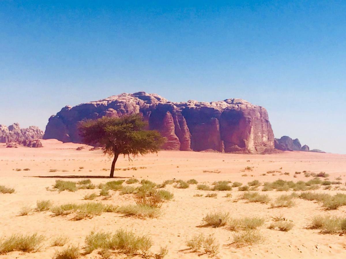 Wadi Rum Fun Time Tour'S Εξωτερικό φωτογραφία